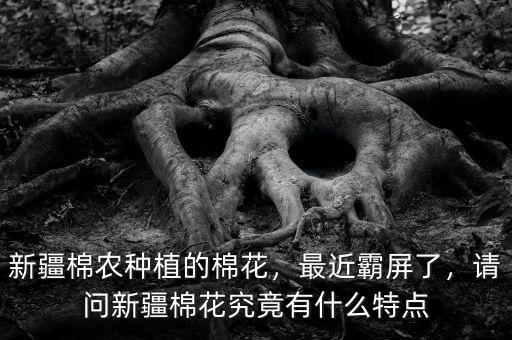 新疆棉農(nóng)種植的棉花，最近霸屏了，請(qǐng)問(wèn)新疆棉花究竟有什么特點(diǎn)