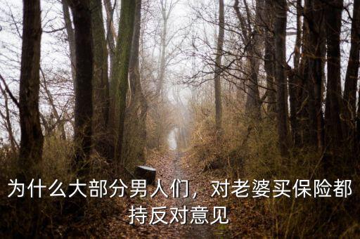 為什么大部分男人們，對(duì)老婆買保險(xiǎn)都持反對(duì)意見