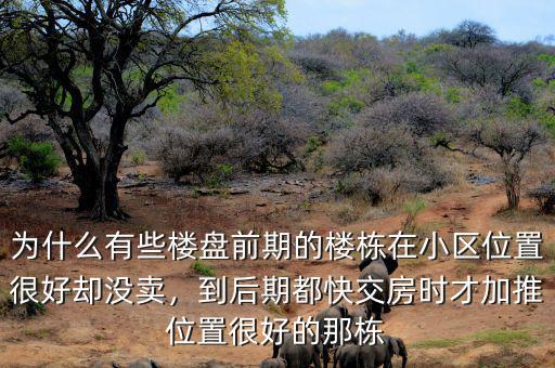 為什么有些樓盤前期的樓棟在小區(qū)位置很好卻沒賣，到后期都快交房時(shí)才加推位置很好的那棟
