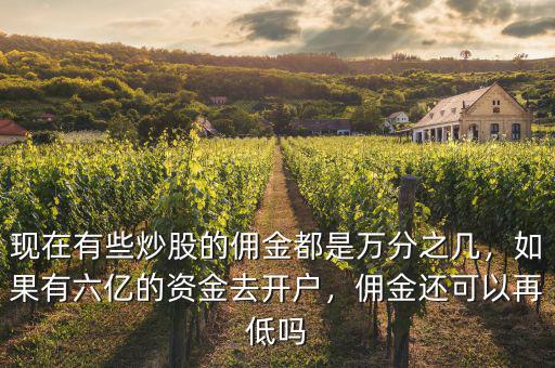 現(xiàn)在有些炒股的傭金都是萬(wàn)分之幾，如果有六億的資金去開(kāi)戶，傭金還可以再低嗎