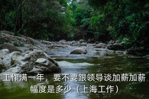 工作滿一年，要不要跟領導談加薪加薪幅度是多少（上海工作）