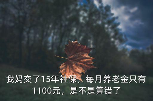 我媽交了15年社保，每月養(yǎng)老金只有1100元，是不是算錯了