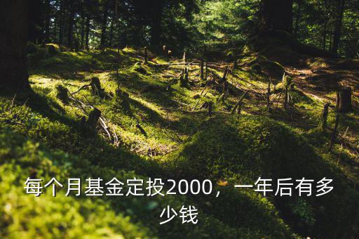 每個(gè)月基金定投2000，一年后有多少錢(qián)