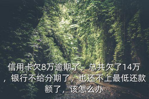 信用卡欠8萬逾期了，總共欠了14萬，銀行不給分期了，也還不上最低還款額了，該怎么辦