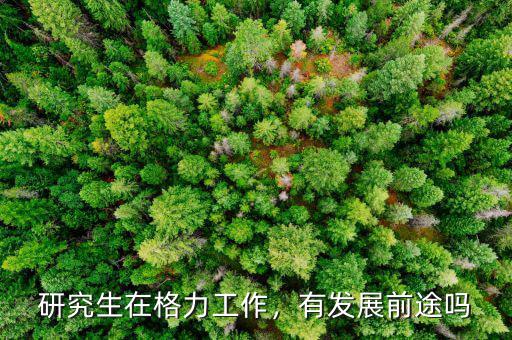 研究生在格力工作，有發(fā)展前途嗎