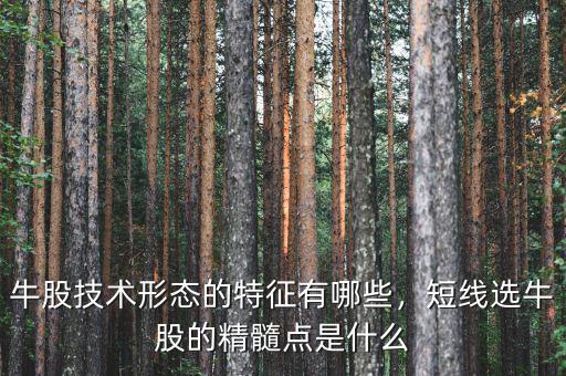牛股技術(shù)形態(tài)的特征有哪些，短線選牛股的精髓點(diǎn)是什么
