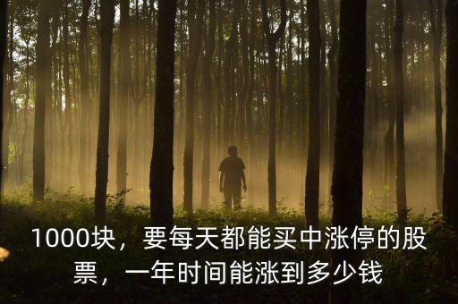 1000塊，要每天都能買中漲停的股票，一年時間能漲到多少錢