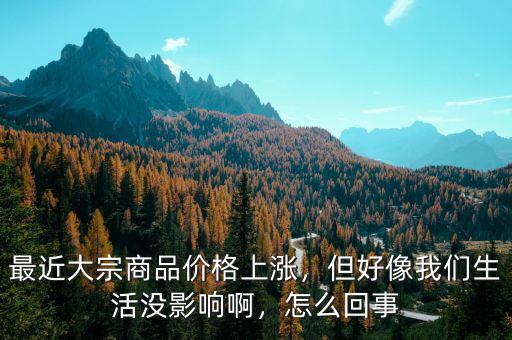 最近大宗商品價(jià)格上漲，但好像我們生活沒影響啊，怎么回事
