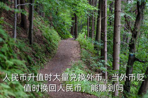 人民幣升值時(shí)大量?jī)稉Q外幣，當(dāng)外幣貶值時(shí)換回人民幣，能賺到嗎