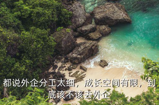 都說(shuō)外企分工太細(xì)，成長(zhǎng)空間有限，到底該不該去外企