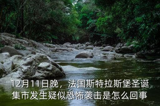12月11日晚，法國斯特拉斯堡圣誕集市發(fā)生疑似恐怖襲擊是怎么回事