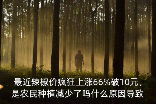 最近辣椒價(jià)瘋狂上漲66%破10元，是農(nóng)民種植減少了嗎什么原因?qū)е? class=