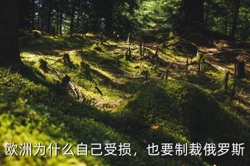 歐洲為什么自己受損，也要制裁俄羅斯