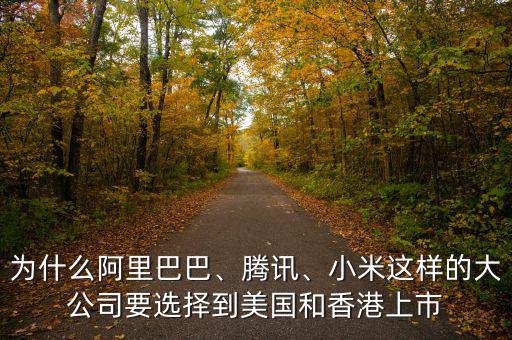 為什么阿里巴巴、騰訊、小米這樣的大公司要選擇到美國和香港上市