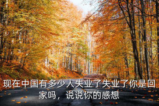 現(xiàn)在中國有多少人失業(yè)了失業(yè)了你是回家嗎，說說你的感想