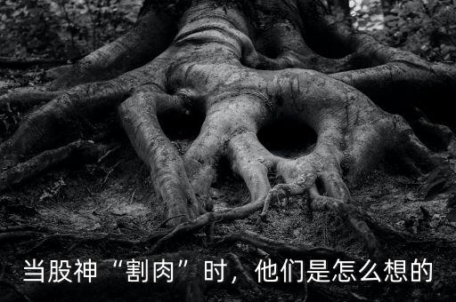 當(dāng)股神“割肉”時(shí)，他們是怎么想的