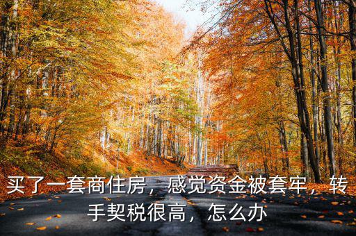 買了一套商住房，感覺(jué)資金被套牢，轉(zhuǎn)手契稅很高，怎么辦