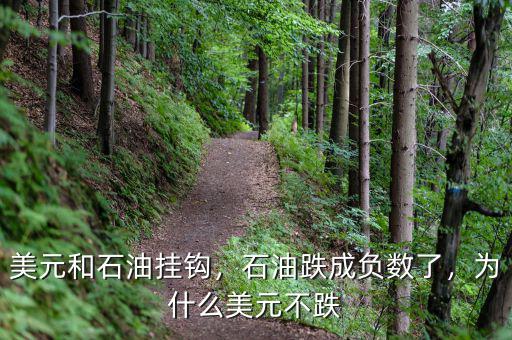 美元和石油掛鉤，石油跌成負數(shù)了，為什么美元不跌