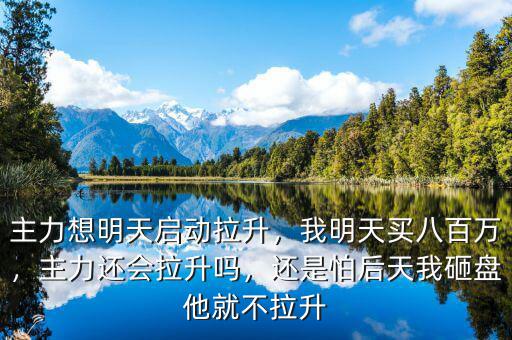 主力想明天啟動拉升，我明天買八百萬，主力還會拉升嗎，還是怕后天我砸盤他就不拉升