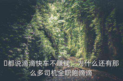?都說滴滴快車不賺錢，為什么還有那么多司機全職跑滴滴