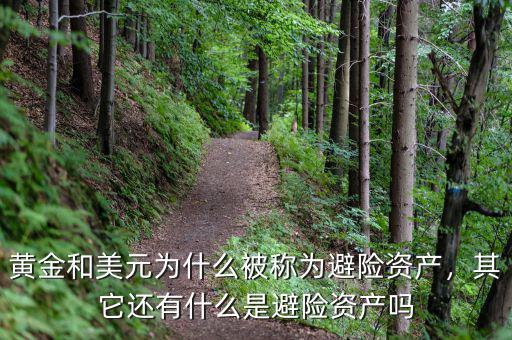 黃金和美元為什么被稱為避險資產，其它還有什么是避險資產嗎