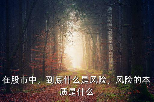 在股市中，到底什么是風險，風險的本質(zhì)是什么