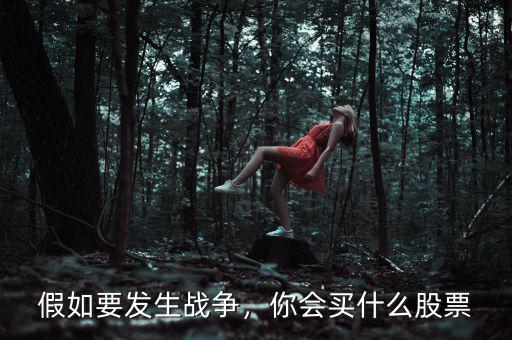 假如要發(fā)生戰(zhàn)爭，你會買什么股票