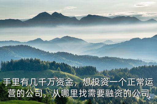 手里有幾千萬(wàn)資金，想投資一個(gè)正常運(yùn)營(yíng)的公司，從哪里找需要融資的公司