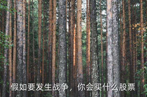 假如要發(fā)生戰(zhàn)爭，你會買什么股票