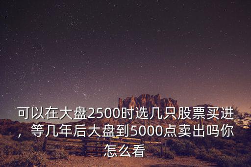 可以在大盤2500時選幾只股票買進(jìn)，等幾年后大盤到5000點(diǎn)賣出嗎你怎么看