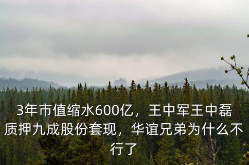 3年市值縮水600億，王中軍王中磊質(zhì)押九成股份套現(xiàn)，華誼兄弟為什么不行了