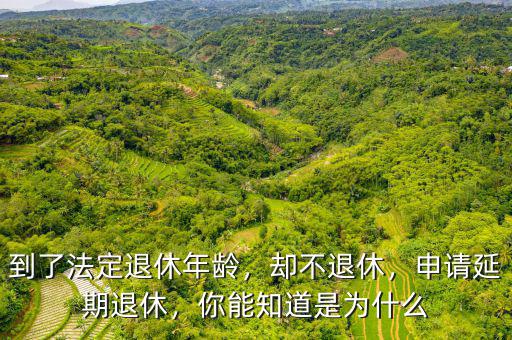 到了法定退休年齡，卻不退休，申請延期退休，你能知道是為什么