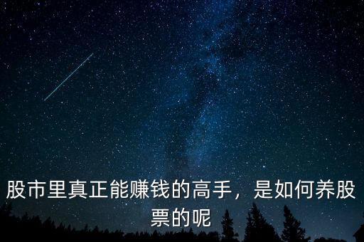 股市里真正能賺錢的高手，是如何養(yǎng)股票的呢