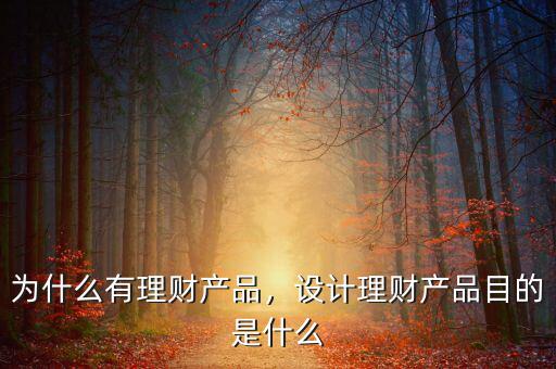 為什么有理財產(chǎn)品，設計理財產(chǎn)品目的是什么