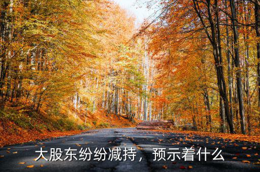 大股東紛紛減持，預示著什么