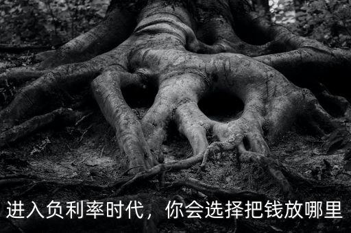 進(jìn)入負(fù)利率時(shí)代，你會(huì)選擇把錢放哪里