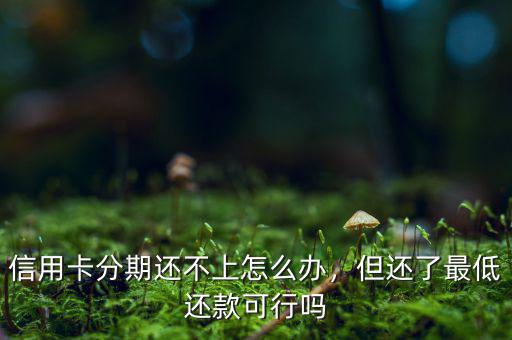 信用卡分期還不上怎么辦，但還了最低還款可行嗎