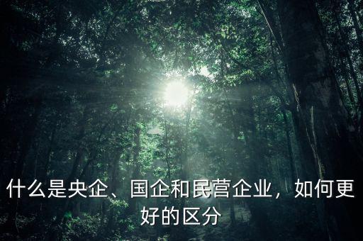 什么是央企、國企和民營企業(yè)，如何更好的區(qū)分
