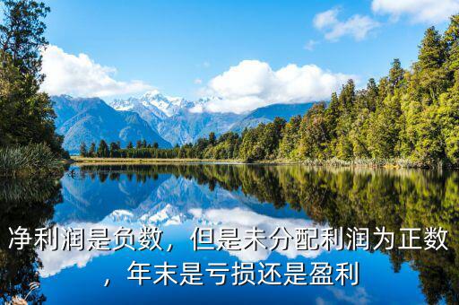 為什么說利潤(rùn)是個(gè)絕對(duì)數(shù),凈利潤(rùn)是負(fù)數(shù)