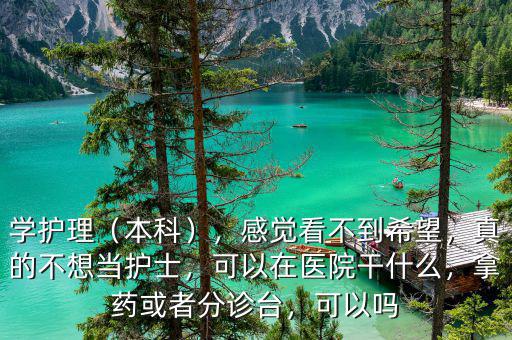 學(xué)護(hù)理（本科），感覺看不到希望，真的不想當(dāng)護(hù)士，可以在醫(yī)院干什么，拿藥或者分診臺(tái)，可以嗎
