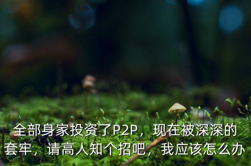 全部身家投資了P2P，現(xiàn)在被深深的套牢，請高人知個招吧，我應(yīng)該怎么辦
