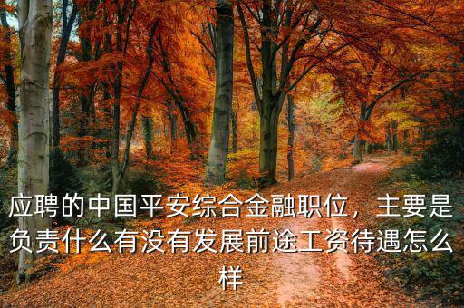 應(yīng)聘的中國(guó)平安綜合金融職位，主要是負(fù)責(zé)什么有沒(méi)有發(fā)展前途工資待遇怎么樣