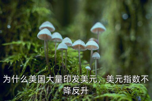 為什么美國大量印發(fā)美元，美元指數不降反升
