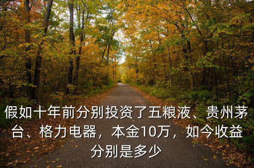 假如十年前分別投資了五糧液、貴州茅臺、格力電器，本金10萬，如今收益分別是多少