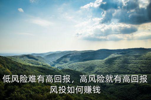 低風險難有高回報，高風險就有高回報風投如何賺錢