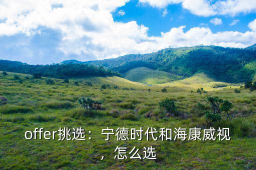 ?？低曔@家公司怎么樣,寧德時代和?？低?/></a></span><span id=