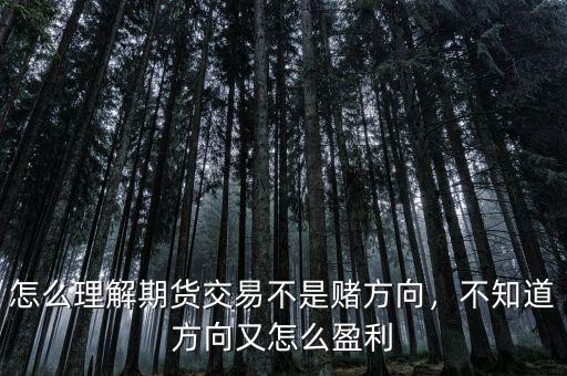 怎么理解期貨交易不是賭方向，不知道方向又怎么盈利