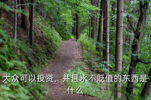 大眾可以投資，并且永不貶值的東西是什么