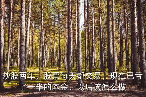 炒股兩年，股票每天都交易，現(xiàn)在已虧了一半的本金，以后該怎么做