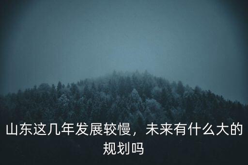 山東這幾年發(fā)展較慢，未來有什么大的規(guī)劃嗎